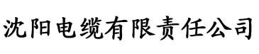 异世界迷宫里开宫电缆厂logo